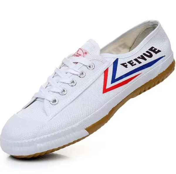 Feiyue Top One - White